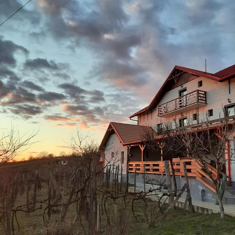 Panorama Cehu Silvaniei Exterior photo