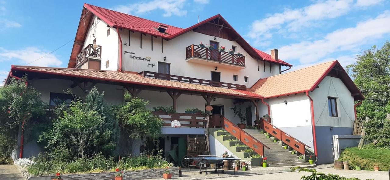 Panorama Cehu Silvaniei Exterior photo