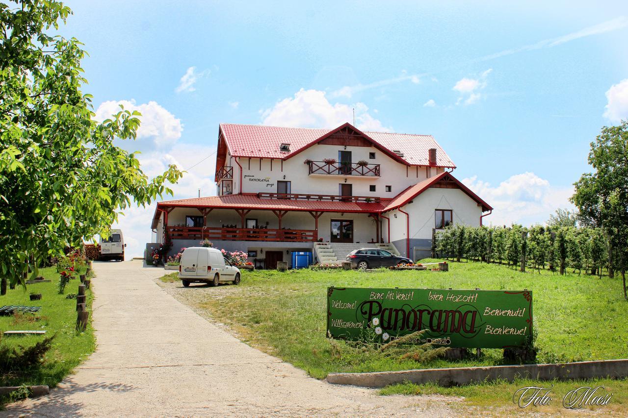 Panorama Cehu Silvaniei Exterior photo