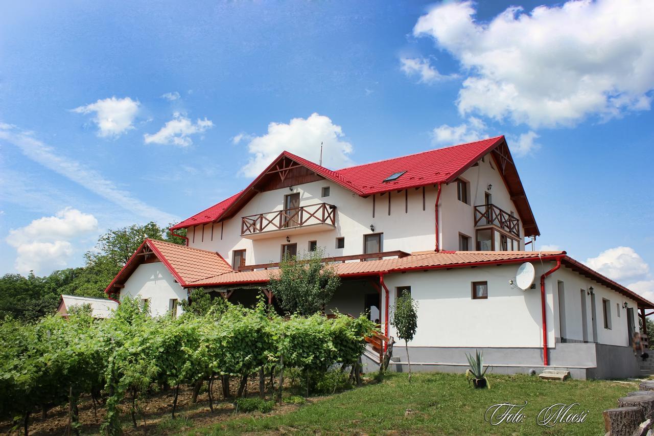 Panorama Cehu Silvaniei Exterior photo